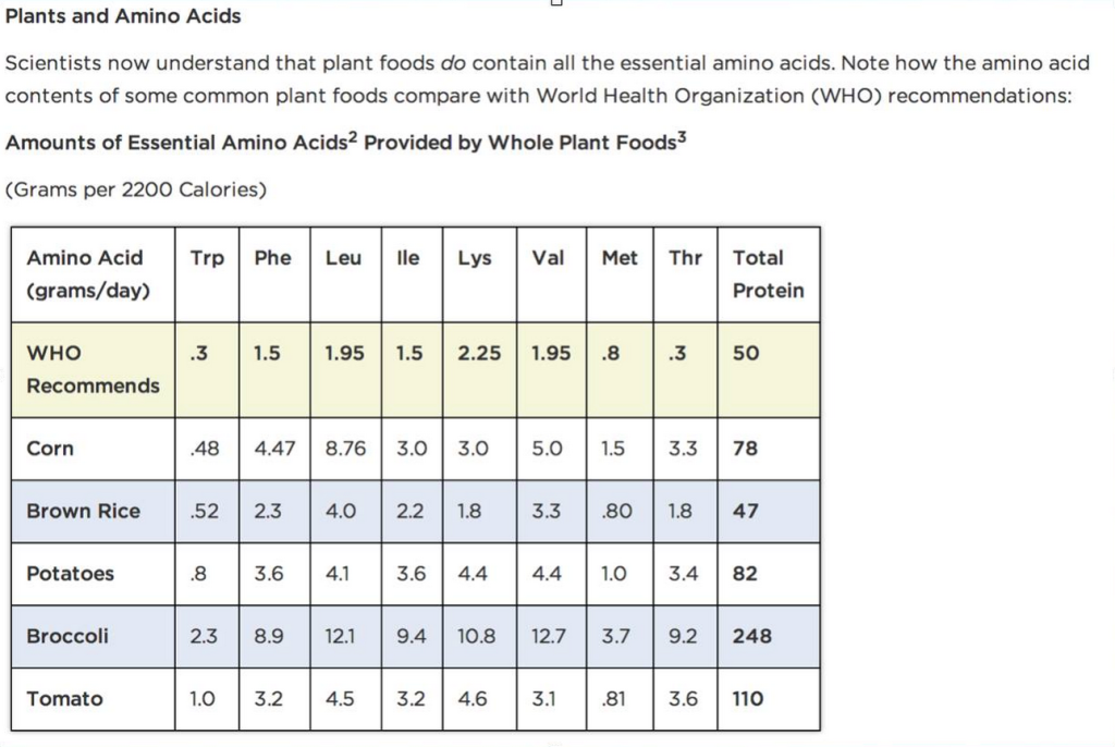 plant_based_amino_acids_protein