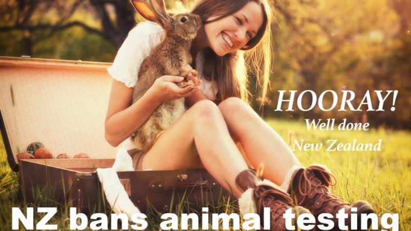 New Zealand Bans Animal Testing for Cosmetics – Eco Friendly News Alert