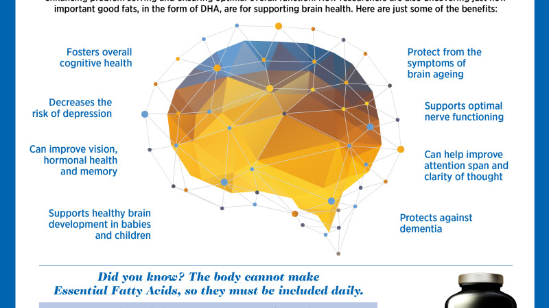 Why Whole Body Health Begins with the Brain